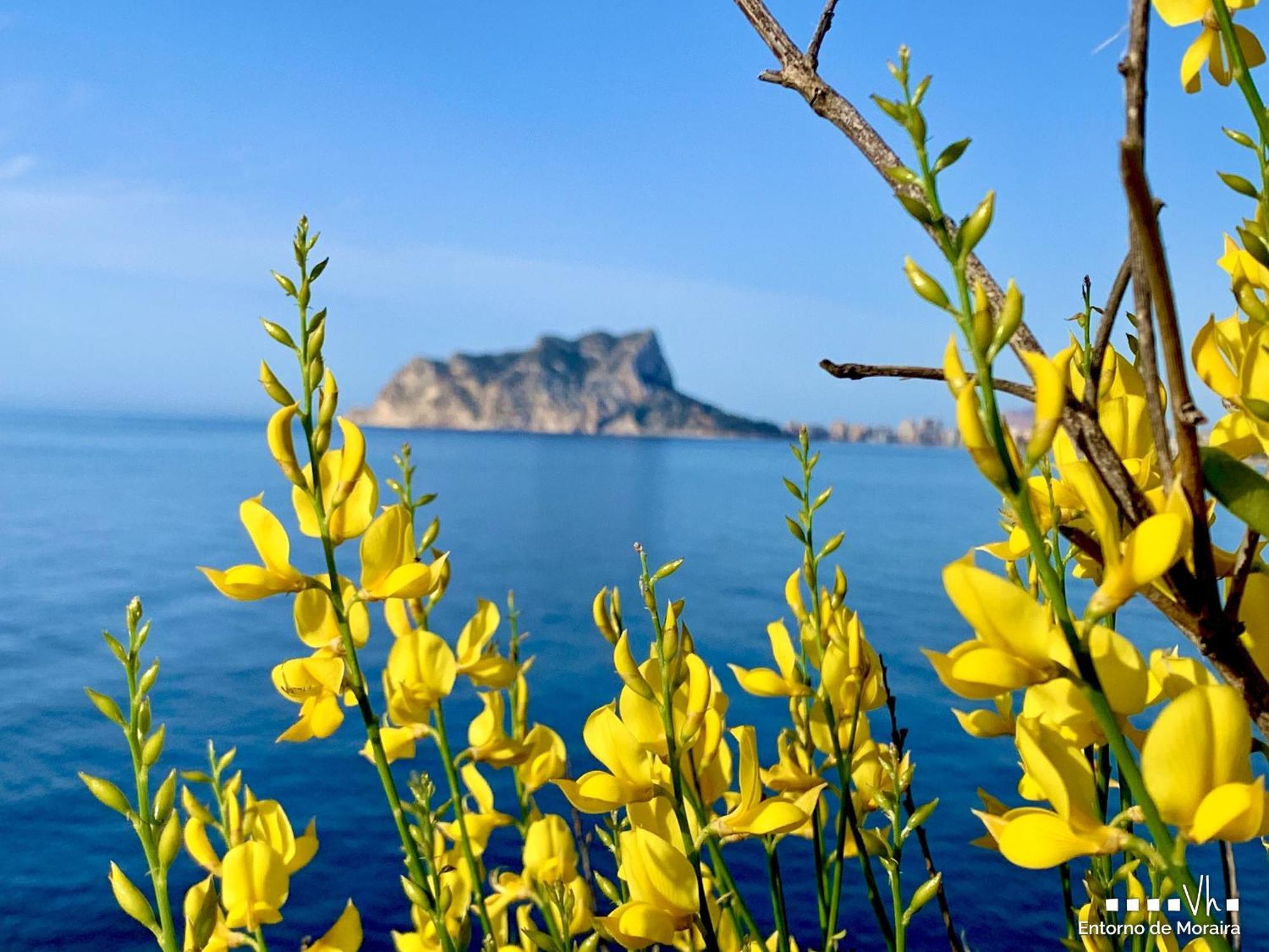 Vh Costablanca - Riviera Apartamento Moraira